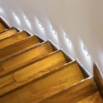 Pulcra Domus